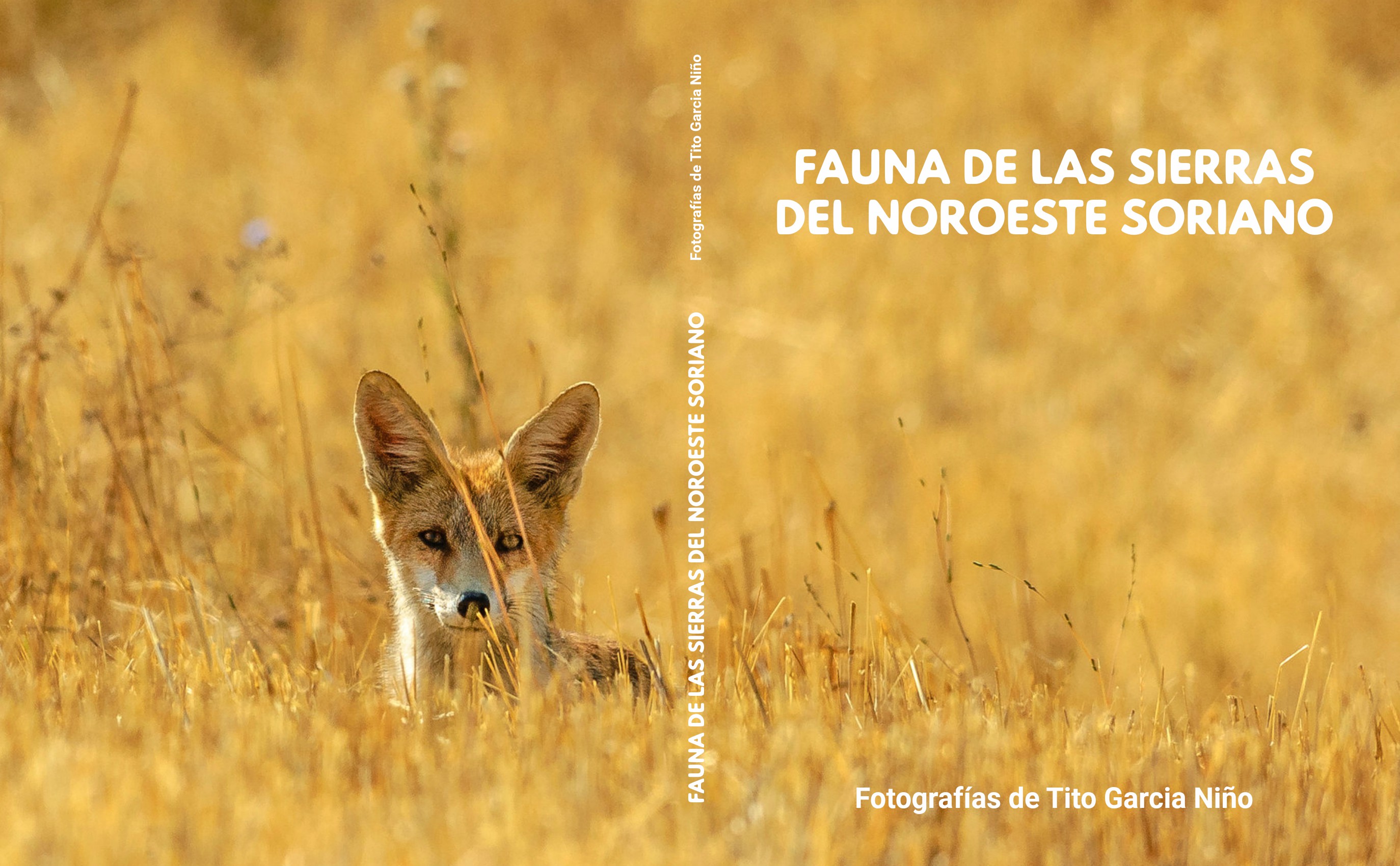 Fauna de las Sierras del Noroeste Soriano. Fotografías de Tito Garcia Niño.